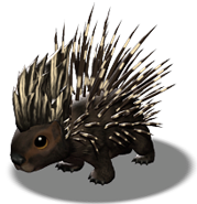 a  porcupine 